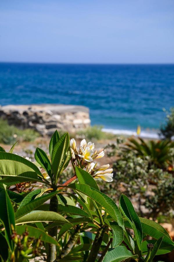 Marina Apartments Léntas Dış mekan fotoğraf